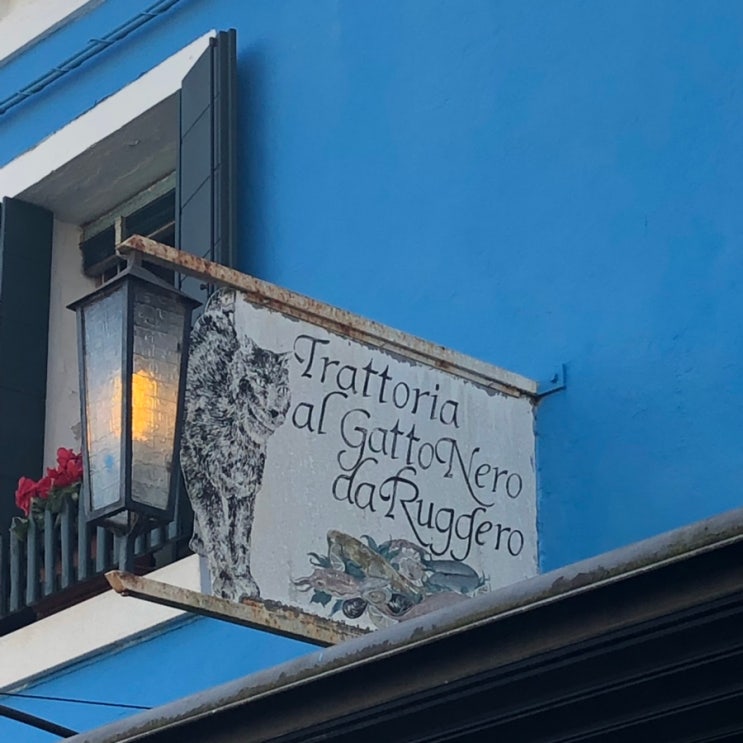 ♡Trattoria al Gatto Nero 부라노섬 점심