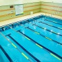 [여름운동 추천] 구로구 최대 수영장(구로구민체육센터) 수영강습
