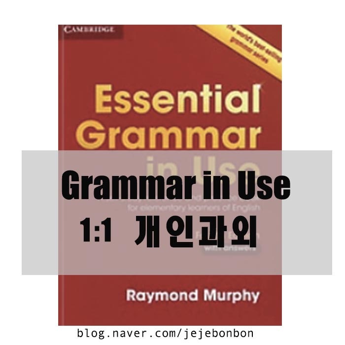 그래머인유즈 비대면 과외 Grammar In Use 문법과 회화를 동시에 끝내는 성인영어회화과외 주부영어 네이버 블로그