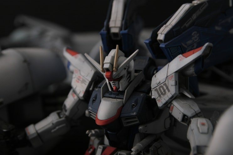 HG 미티어유닛 & RG 프리덤 HG SEED Meteor unit & RG ZGMF-X10A Freedom Gundam ...
