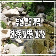 부산 근교 계곡 : 화명동 애기소 평상 대여 / 대천천 영해농원 취사