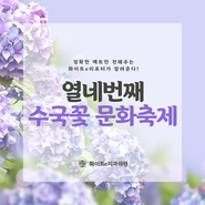 [부산축제] 형형색색 아름다운 '수국꽃 문화축제'