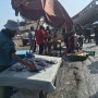 모로코 에사우이라 Day 9-3/ 수산시장에서 바로 먹는 생선