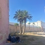 모로코 에사우이라 Day 10-2/ 바닷가에서 사하라의 햇볕으로 태닝을