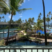 하와이 호텔 추천 - 카할라 호텔 (20개월아기와 하와이여행)