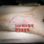 대전 암컷 고양이 중성화수술, 갈마동 리본동물병원