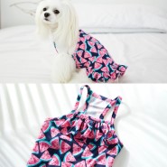 강아지 나시 시원한 강아지 여름옷, 수박이 왔어요:)