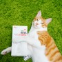[마이펫닥터] 네바에토닉 짜먹는 고양이 종합영양제