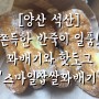 [양산 석산] 쫀득한 반죽이 일품! 꽈배기와 핫도그 '스마일찹쌀꽈배기'