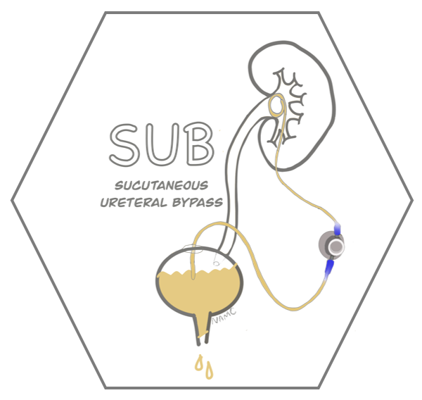 고양이 SUB 수술(요관우회술): 요관 막힘, 요관 폐색의 진단 및 치료 : 네이버 블로그