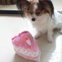 귀여운 강아지 장난감~ 지피포우즈 생일축하해!