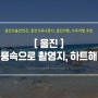 울진가볼만한곳, 가족여행 하트해변 (feat.폭풍속으로)