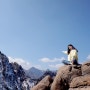 [속초 설악산] 속초 설악산 케이블카 타고 정상 올라가기!
