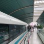 다시찾은 상해 마지막 : 집으로 돌아가는 길 #난징동루에서 상해 푸동공항까지 가는 법 #상해마그레브열차(Maglev Train) #상해공항고속열차(자기부상열차)