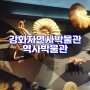 강화여행 강화자연사박물관 &역사박물관 아이랑 가볼만한곳 (3)