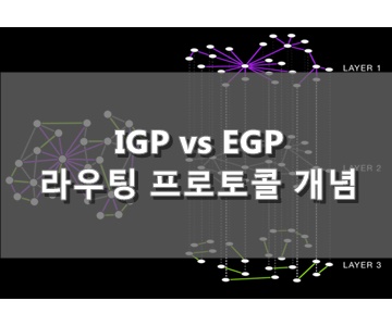 IGP & EGP 차이점 - 라우팅 프로토콜 개념
