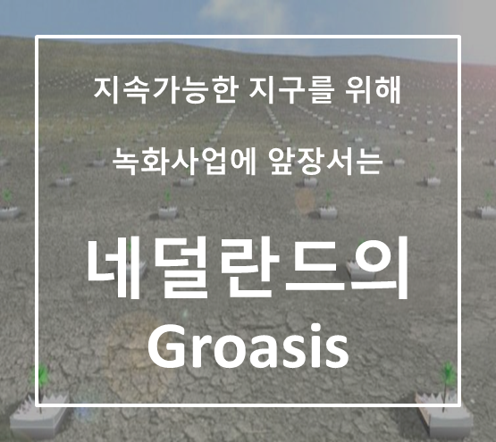 지속 가능한 지구를 위해 녹화사업에 앞장서는 네덜란드의 Groasis : 네이버 블로그