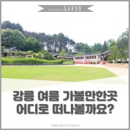 강릉 여름 가볼만한곳 선교장으로 떠나볼까요?