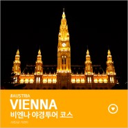 [#빈/비엔나] 시내 야경코스, 걸어서 빈시청사부터 오페라하우스 야경까지 워킹투어!