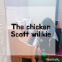 [ The chicken - Scott wilikie ]/ 스캇윌키 / 김해피아노학원 / 어방동피아노학원 / 김해재즈피아노