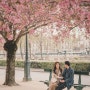 2019, 4월의 파리 엘리제스냅