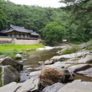 봉화 석천계곡 다슬기잡기-영주,안동,예천 근처 가볼만한곳