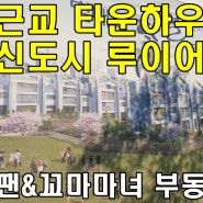 서울근교 대형 평형 타운하우스 루이어 닻별
