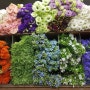 aT 화훼공판장 생화도매 꽃시장에서 꽃 재료 구입