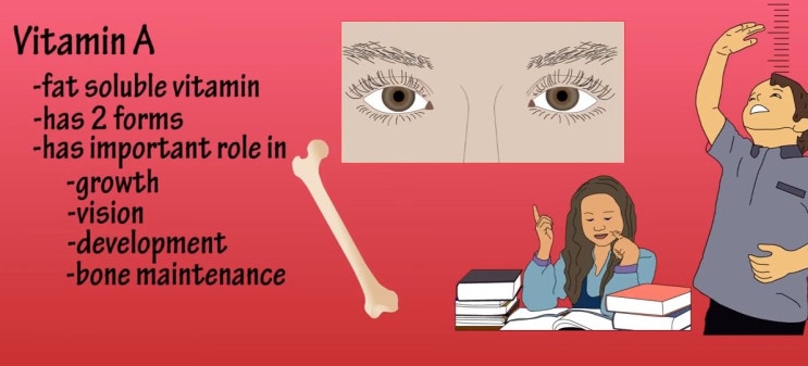 비타민A 효능 및 부작용 : 네이버 블로그