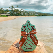 하와이 여행 선물 쇼핑 :: 아이들이 좋아하는 호놀룰루 쿠키 추천!