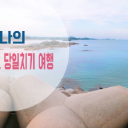 속초 당일치기 여행♥ 봉포해수욕장-신다신-바다정원-새우강정!!