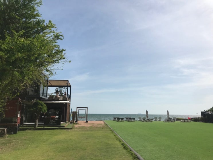 [파타야] 바다뷰 해변 카페 추천 skoop beach cafe