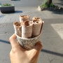 [전주 여행] 한옥마을에서 철판 아이스크림을 먹다! 2019-06-24