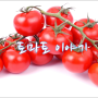 [토마토 이야기] 토마토, 앙증맞고 귀여운 방울토마토와 대추토마토 이야기_방울토마토의 효능, 대추토마토의 효능