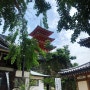 [카가와현] 쇼도시마小豆島사이코오지西光寺에서 고슈인받고 점심은 시마카츠島活에서