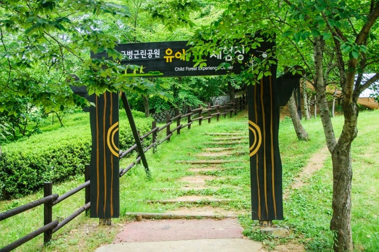 솔향기 가득한 주민들의 휴식처 진영 금병공원