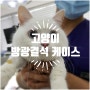 고양이 방광결석 수술 케이스 -고양이센터-아프리카동물병원/인천동물병원/부평동물병원/부천동물병원/삼산동동물병원.