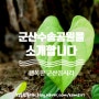 군산수송공원 에는 도심속 새소리를 들을 수 있답니다 by 행복한 군산꼼시리