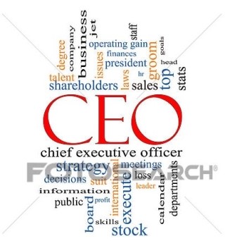 CEO, CDO, CKO, CVO, COO, CFO, CPO, CCO, CGO....최고 경영자 영문 약자를 아시나요 ...