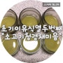 [초기이유식 열두번째] 소고기청경채미음(feat. 이오맘/영양왕 사용)