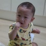 7개월아기 자일리톨 함유된 유기농 아기과자 잘먹네요