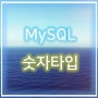 MySQL 숫자 타입 (Numeric Types)