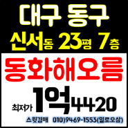 대구 아파트 경매 대구시 동구 신서동 동화해오름타운 23평