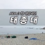 [울산 프리다이빙] 태종대 AIDA 3 첫 해양 세션 in 스타 프리 다이브&해양스포츠교실