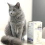 [고양이 헤어볼 영양제]마이펫닥터-유리나벨라