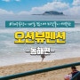 동해오션뷰펜션 - 속초,강릉,삼척,주문진
