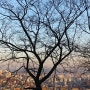 City in the Midst of Evening Light. 저녁 빛 속에 빠진 도시