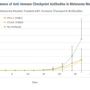 Caner- Melanoma에 사용가능한 CTLA4 IgG/ PD-L1 IgG Antibody