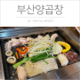 울산 화정동 곱창 - 부산양곱창 / 곱창을 야채와 함께 특제소스에 푹