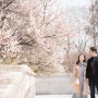4월.사랑.만남.벚꽃..시작 4월사전미팅/데이트스냅 무료/ 마음으로 담는 사진사 김재선입니다.